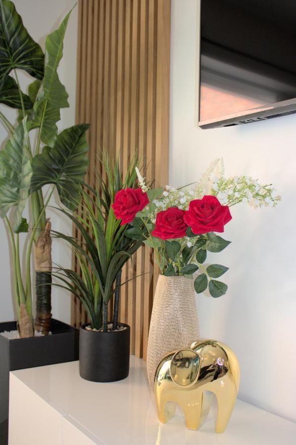 L'Escale Tropicale, Appartement Independant Avec Terrasse Privative Saint-Quentin  Kültér fotó