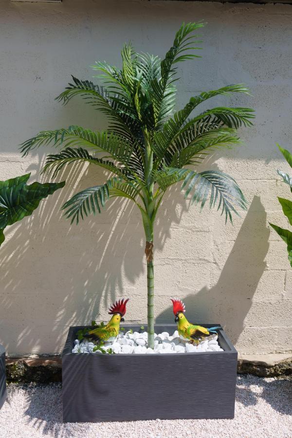 L'Escale Tropicale, Appartement Independant Avec Terrasse Privative Saint-Quentin  Kültér fotó